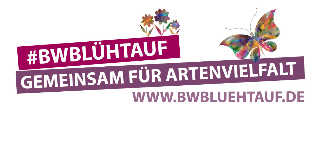 BWbluehtauf BWbluehtauf